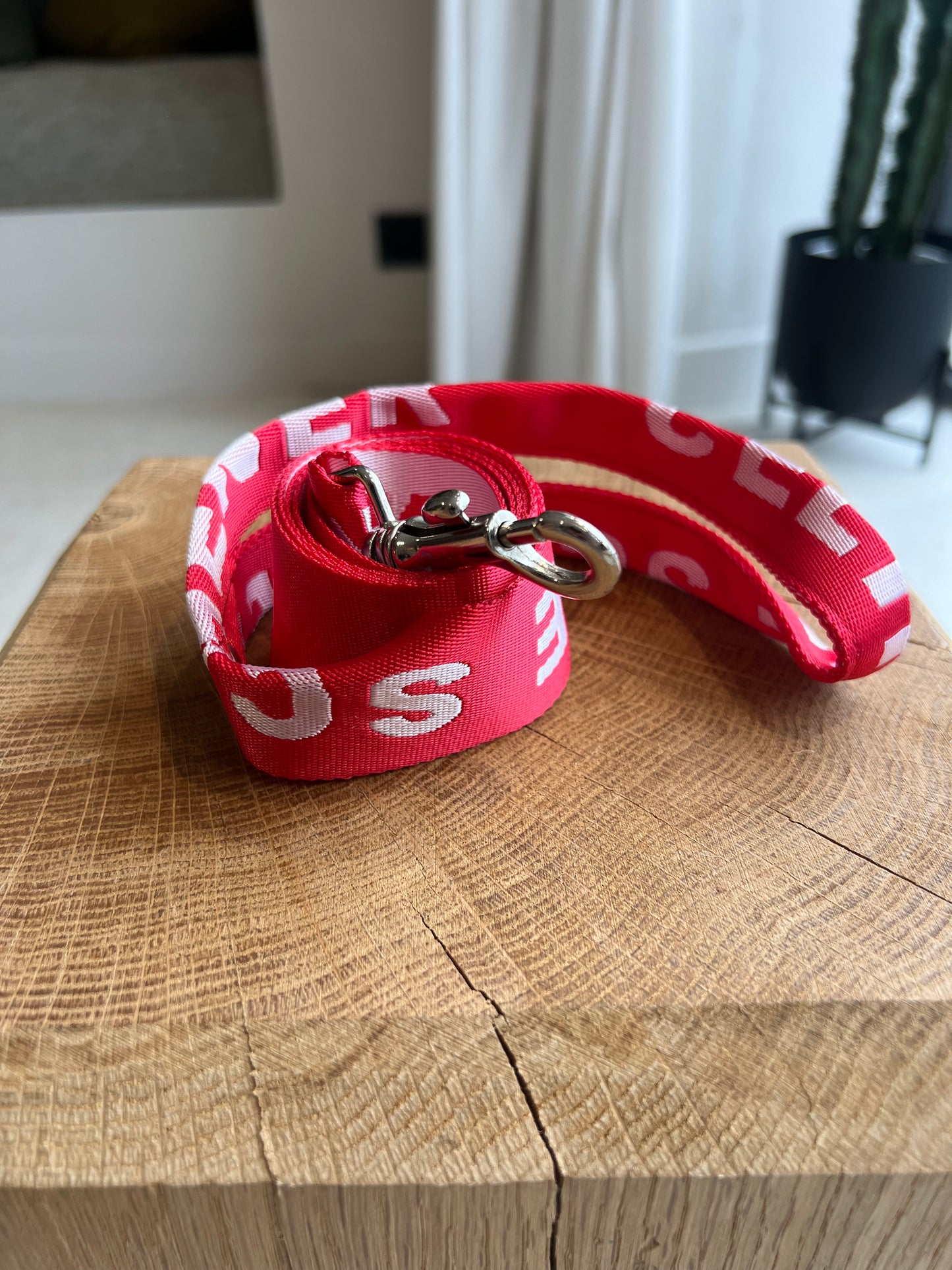 LAISSE POUR CHIEN