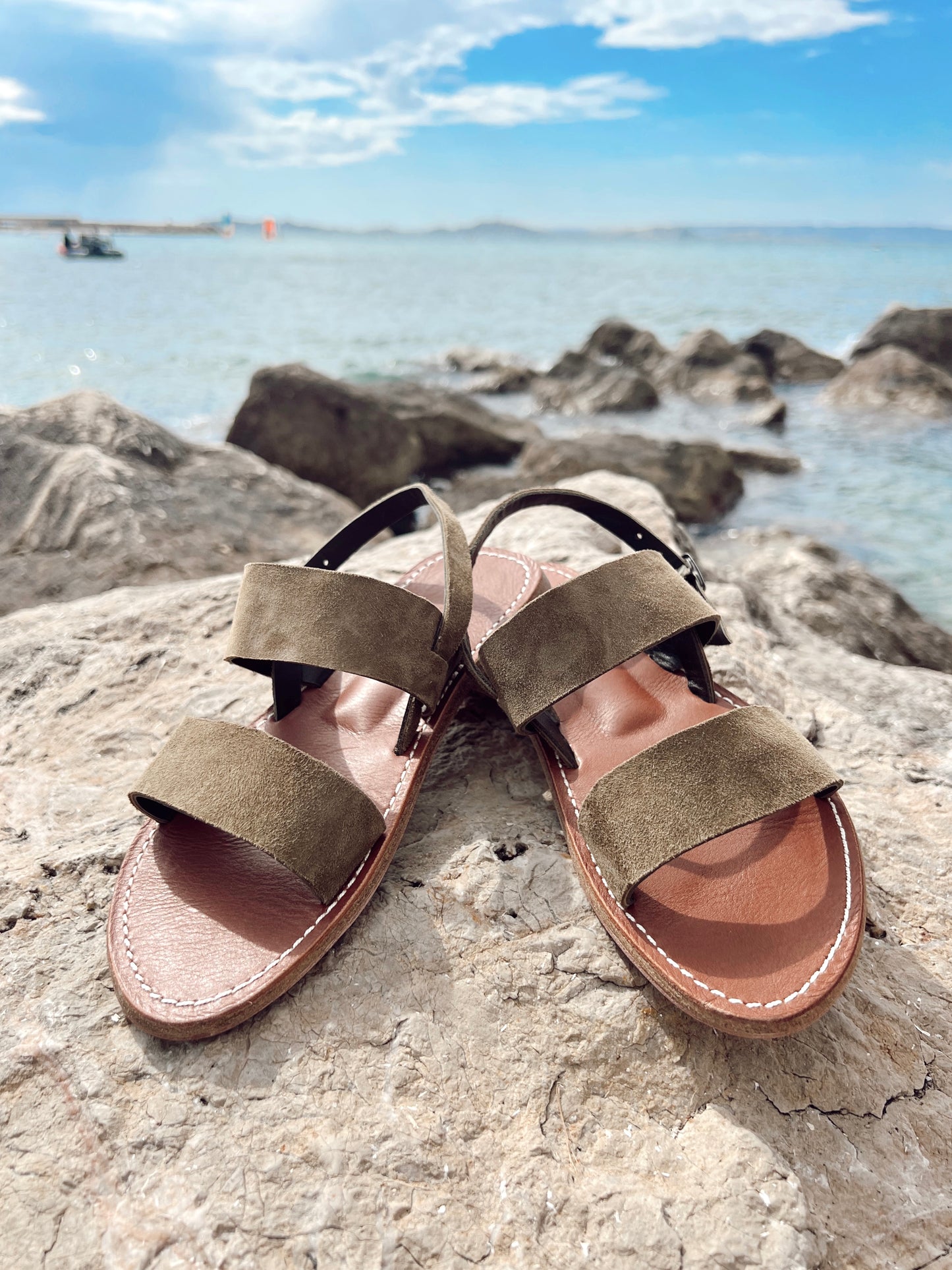 PALMA KAKI