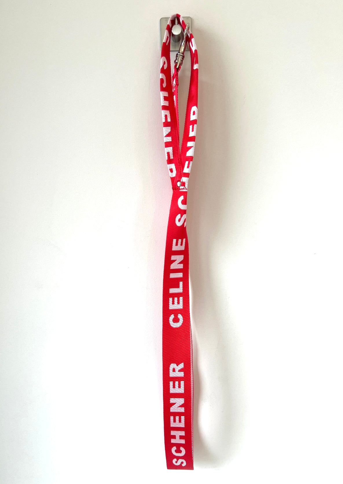 LAISSE POUR CHIEN